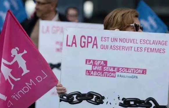 N° 106 Tout anti-PMA et GPA est-il un chien ?