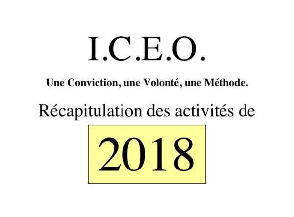 N° 117 ___Récapitulation des activités 2018