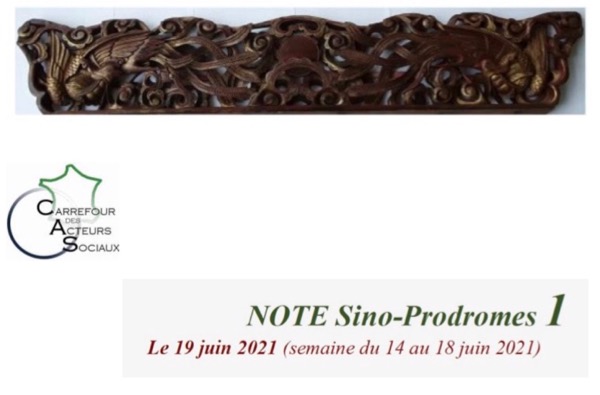 N° 327 NOTE Sino-Prodromes 1 [Carrefour des Acteurs Sociaux]