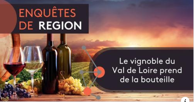 N°346 Les vins du Val de Loire, un vignoble qui prend de la bouteille!