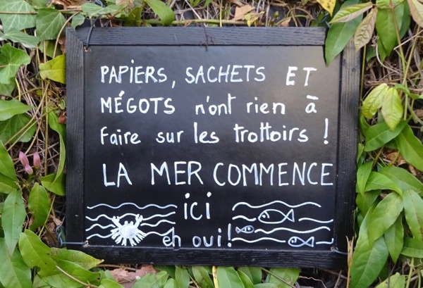 N° 388 Les écologistes politiques croient-ils encore vraiment  à l’écologie?